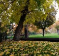 Парк Меллат в Тегеране