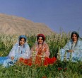 Nómadas de Irán