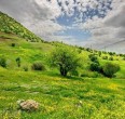 Kurdistan 