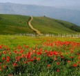 Gilan Province