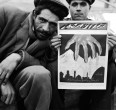 Iran 1950 - 1955