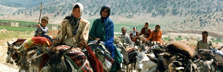 عش معنا تجربة حياة البدو