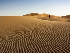 Треккинг в пустыне - Треккинг в пустыне — это незабываемые впечатления! 
